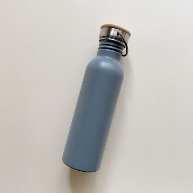 Haps Nordic Water Bottle - Ocean (750 ml) 1
