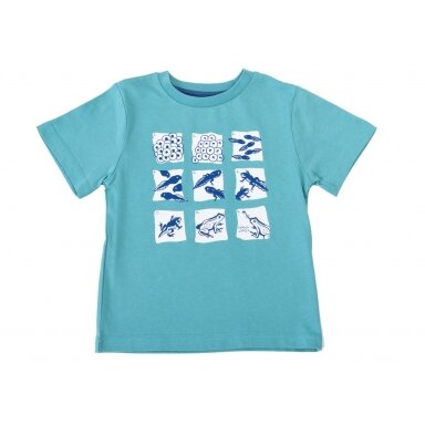 Kite Shirt - Zool