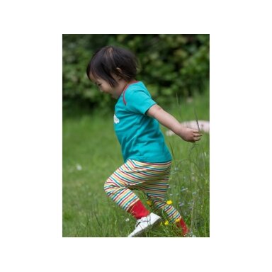 Little Green Radicals Trousers - Rainbow