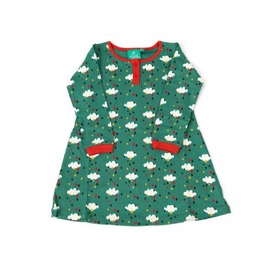 Little Green Radicals Dress - Rain
