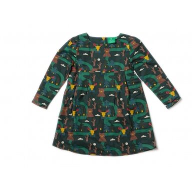 Little Green Radicals Dress - Forest