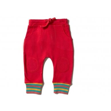 Little Green Radicals Trousers - Red Rainbow