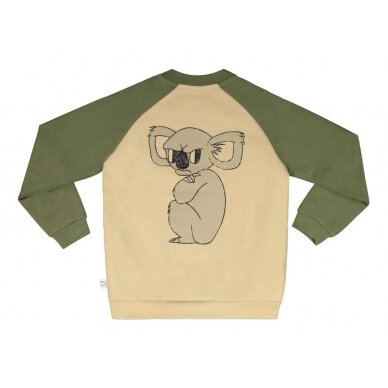 Mainio megztinis ,,Koala" 1