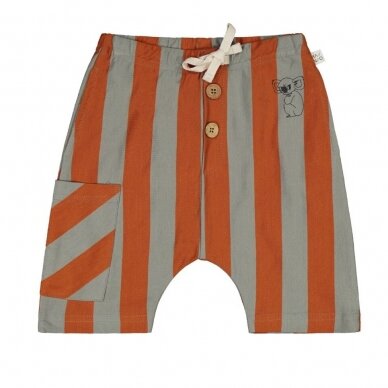 Mainio Shorts - Stripes