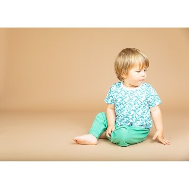 SENSE ORGANICS Shirt - Liko
