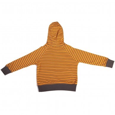 SENSE ORGANICS Sweater - Jonas 1