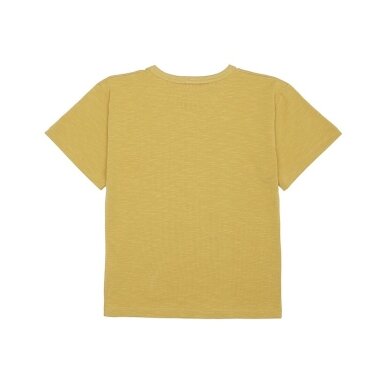 Soft Gallery Shirt - Pickles