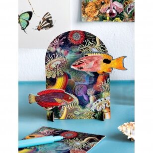 Studio ROOF Pop-out Card - Extravaganza: Fishes