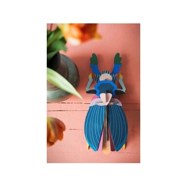 Studio ROOF wall decoration - Japanese beetle