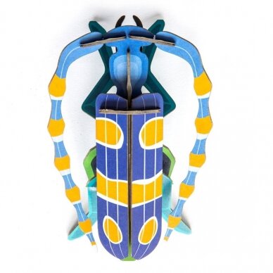 Studio ROOF Wall Decoration - Small insects: Rosalia Beetle