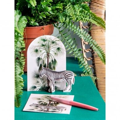 Studio ROOF pop-out atvirukas ,,Tropical zebra"